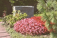 Kilchberg ZH: Friedhof, Grab G.Westphal